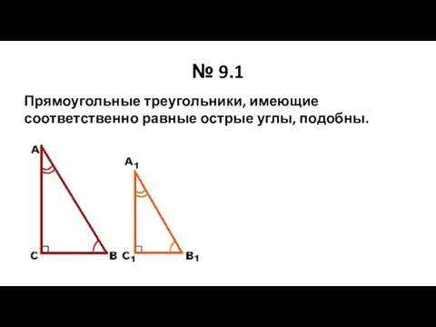 № 9.1 Прямоугольные треугольники, имеющие соответственно равные острые углы, подобны.