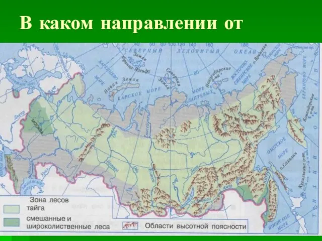 В каком направлении от тундры находится лесная зона.