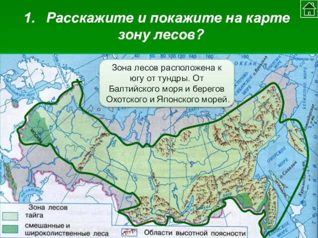 Расскажите и покажите на карте зону лесов? Зона лесов расположена к югу