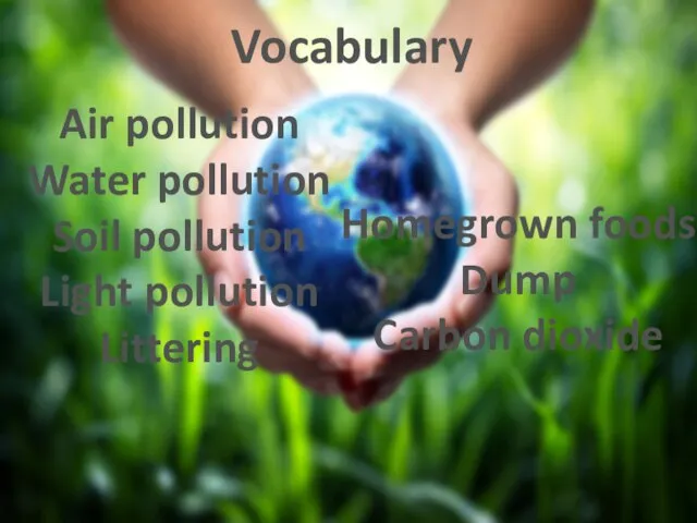 Vocabulary Air pollution Water pollution Soil pollution Light pollution Littering Homegrown foods Dump Carbon dioxide