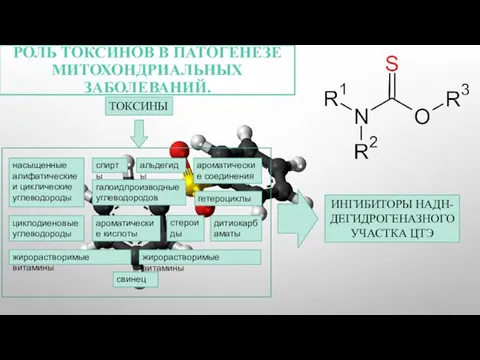РОЛЬ ТОКСИНОВ В ПАТОГЕНЕЗЕ МИТОХОНДРИАЛЬНЫХ ЗАБОЛЕВАНИЙ. ТОКСИНЫ насыщенные алифатические и циклические углеводороды