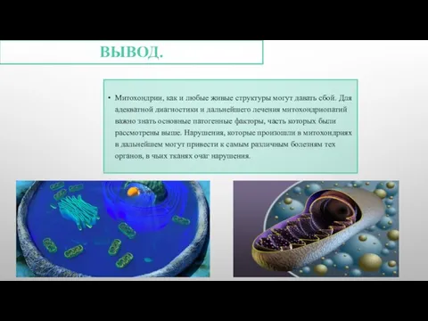 ВЫВОД. Митохондрии, как и любые живые структуры могут давать сбой. Для адекватной