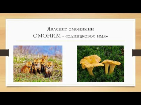 Явление омонимии ОМОНИМ - «одинаковое имя»