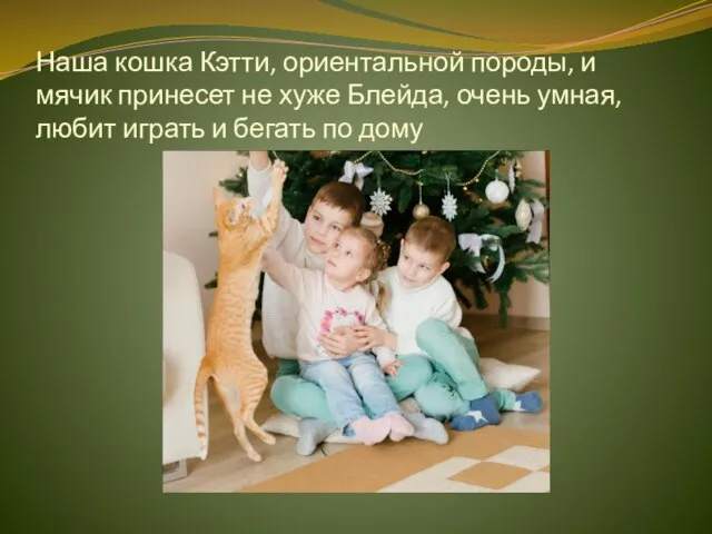 Наша кошка Кэтти, ориентальной породы, и мячик принесет не хуже Блейда, очень