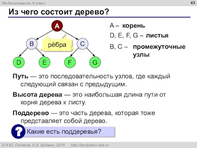 Из чего состоит дерево? A – D, E, F, G – корень