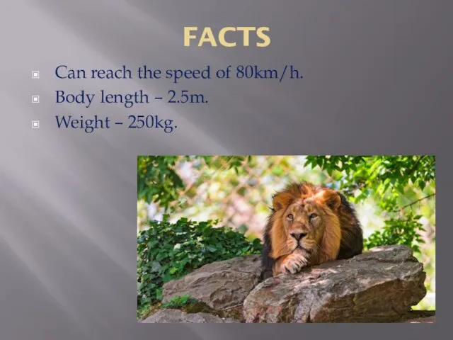 FACTS Can reach the speed of 80km/h. Body length – 2.5m. Weight – 250kg.