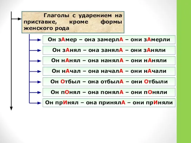 Глаголы с ударением на приставке, кроме формы женского рода Он зАмер –