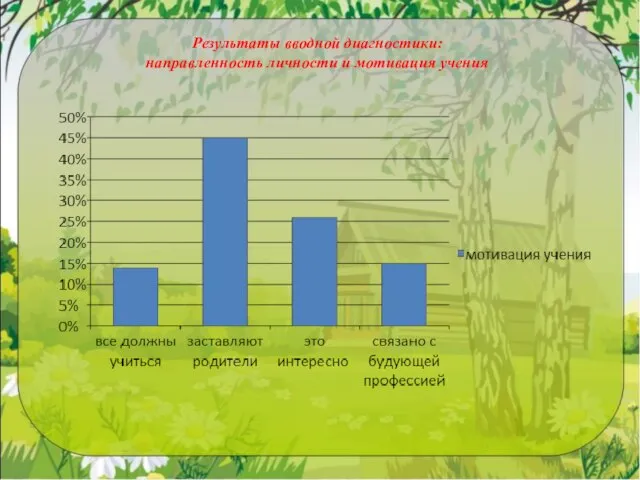 Результаты вводной диагностики: направленность личности и мотивация учения
