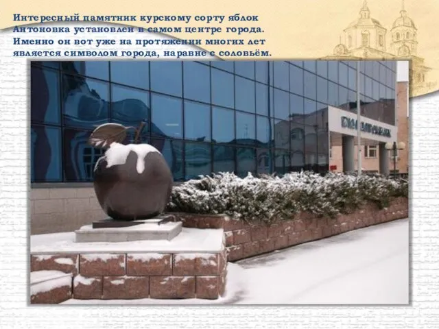 Интересный памятник курскому сорту яблок Антоновка установлен в самом центре города. Именно
