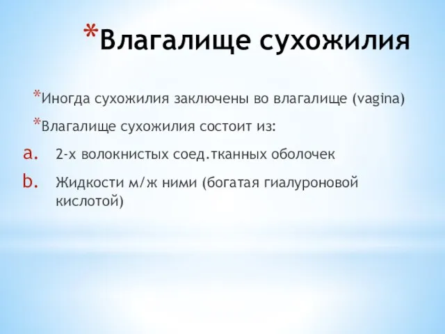 Влагалище сухожилия Иногда сухожилия заключены во влагалище (vagina) Влагалище сухожилия состоит из: