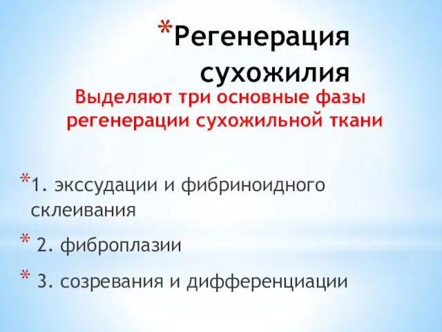 Регенерация сухожилия Выделяют три основные фазы регенерации сухожильной ткани 1. экссудации и