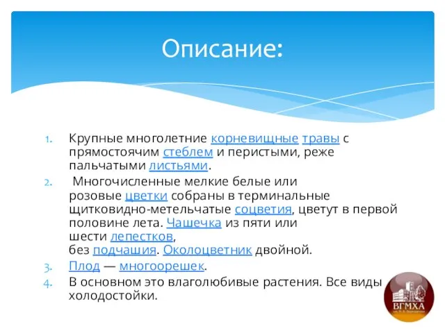 Крупные многолетние корневищные травы с прямостоячим стеблем и перистыми, реже пальчатыми листьями.