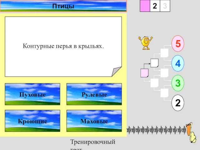 Тренировочный тест Контурные перья в крыльях. 1 Кроющие Маховые 5 2 3