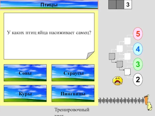 Тренировочный тест У каких птиц яйца насиживает самец? 1 Куры Пингвины 5