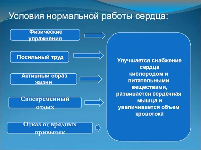 Условия нормальной работы сердца: Физические упражнения Посильный труд Активный образ жизни Своевременный