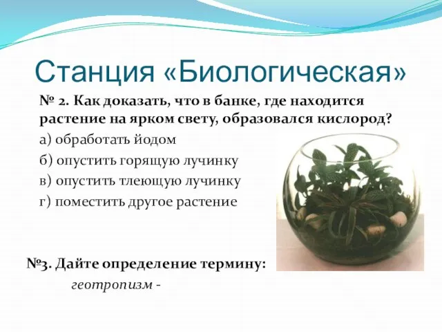 Станция «Биологическая» № 2. Как доказать, что в банке, где находится растение