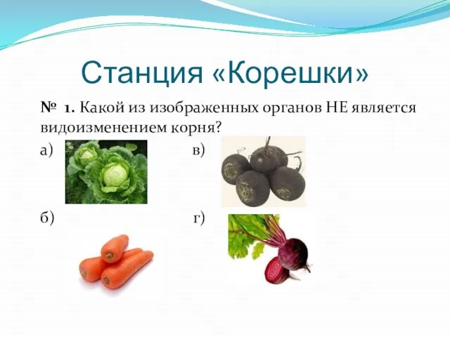 Станция «Корешки» № 1. Какой из изображенных органов НЕ является видоизменением корня? а) в) б) г)