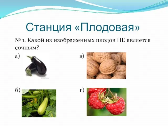 Станция «Плодовая» № 1. Какой из изображенных плодов НЕ является сочным? а) в) б) г)