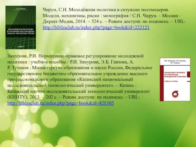 Чирун, С.Н. Молодёжная политика в ситуации постмодерна. Модели, механизмы, риски : монография