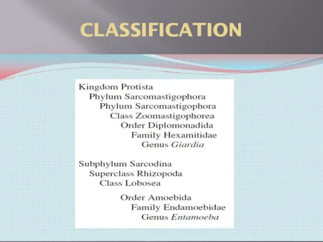 CLASSIFICATION