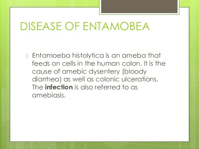 DISEASE OF ENTAMOBEA Entamoeba histolytica is an ameba that feeds on cells