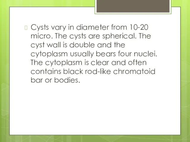 Cysts vary in diameter from 10-20 micro. The cysts are spherical. The