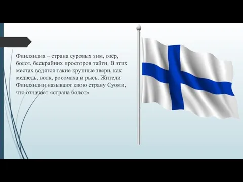 Финляндия – страна суровых зим, озёр, болот, бескрайних просторов тайги. В этих