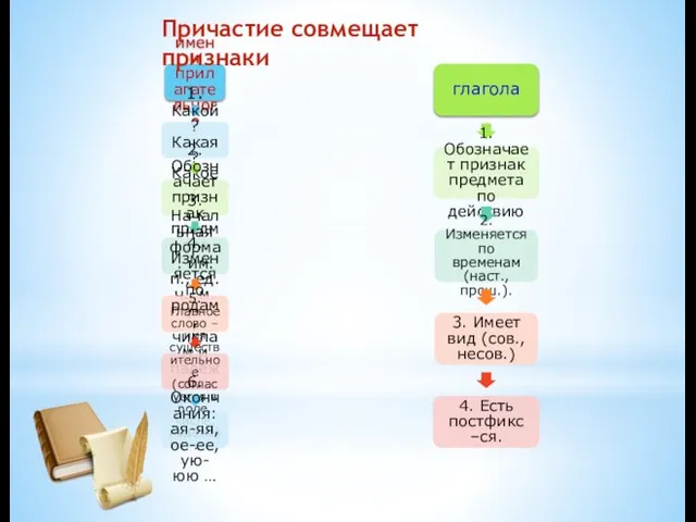 имени прилагательного 1. Какой? Какая? Какое? 2. Обозначает признак предмета 3. Начальная