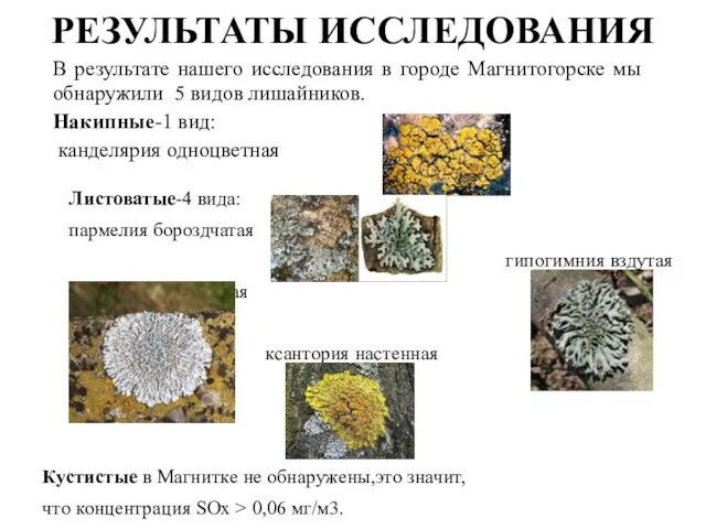 РЕЗУЛЬТАТЫ ИССЛЕДОВАНИЯ В результате нашего исследования в городе Магнитогорске мы обнаружили 5