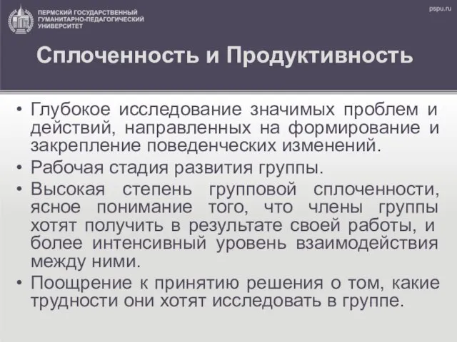 Сплоченность и Продуктивность Глубокое исследование значимых проблем и действий, направленных на формирование