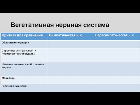 Вегетативная нервная система