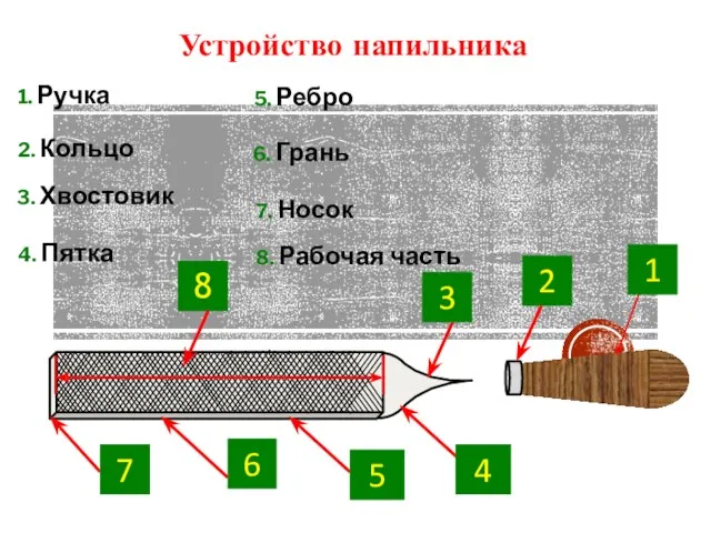 7. Носок 6. Грань 5. Ребро 4. Пятка 2. Кольцо 3. Хвостовик