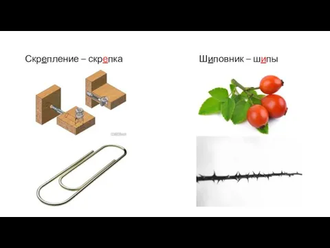 Скрепление – скрепка Шиповник – шипы