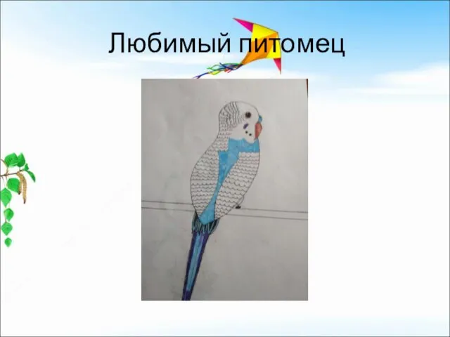 Любимый питомец