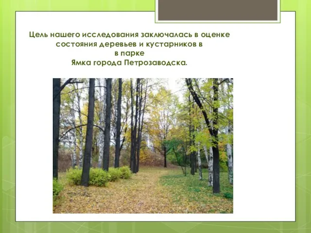 Цель нашего исследования заключалась в оценке состояния деревьев и кустарников в в парке Ямка города Петрозаводска.