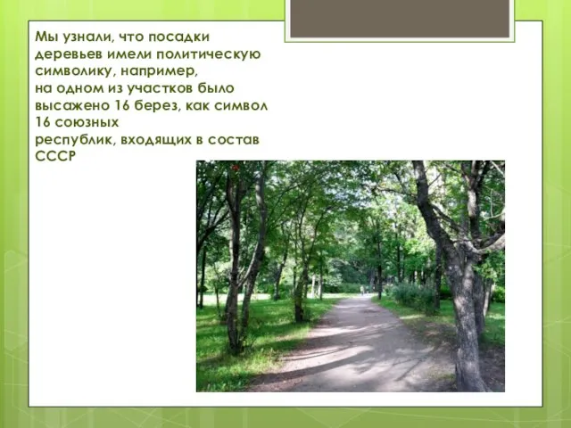 Мы узнали, что посадки деревьев имели политическую символику, например, на одном из