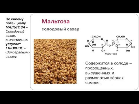 По своему потенциалу МАЛЬТОЗА – Солодовый сахар, значительно уступает ГЛЮКОЗЕ – Виноградному сахару.