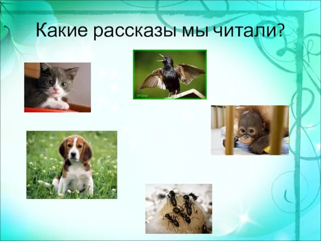 Какие рассказы мы читали?