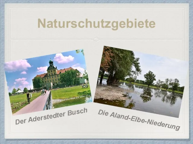 Naturschutzgebiete Der Aderstedter Busch Die Aland-Elbe-Niederung