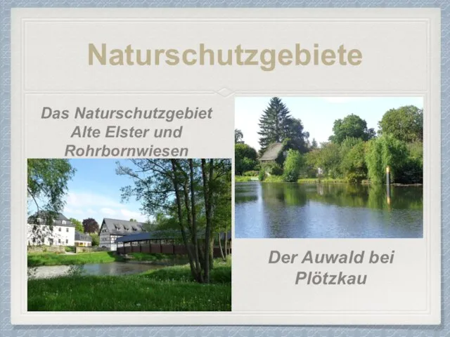 Naturschutzgebiete Das Naturschutzgebiet Alte Elster und Rohrbornwiesen Der Auwald bei Plötzkau