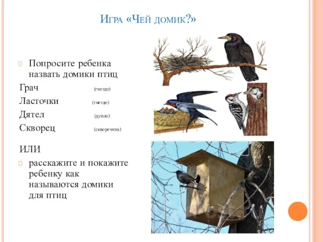 Игра «Чей домик?» Попросите ребенка назвать домики птиц Грач (гнездо) Ласточки (гнездо)