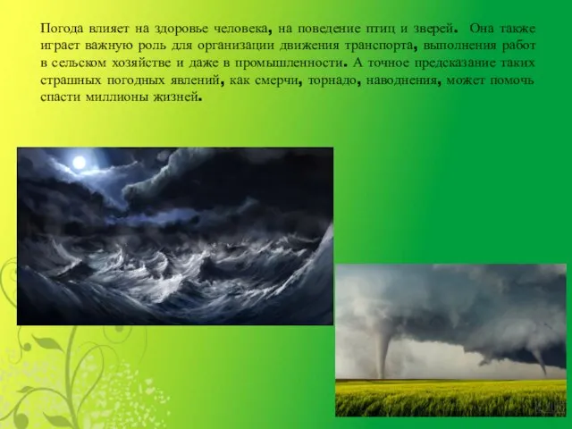 Погода влияет на здоровье человека, на поведение птиц и зверей. Она также