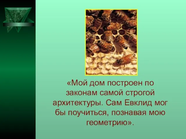 «Мой дом построен по законам самой строгой архитектуры. Сам Евклид мог бы поучиться, познавая мою геометрию».