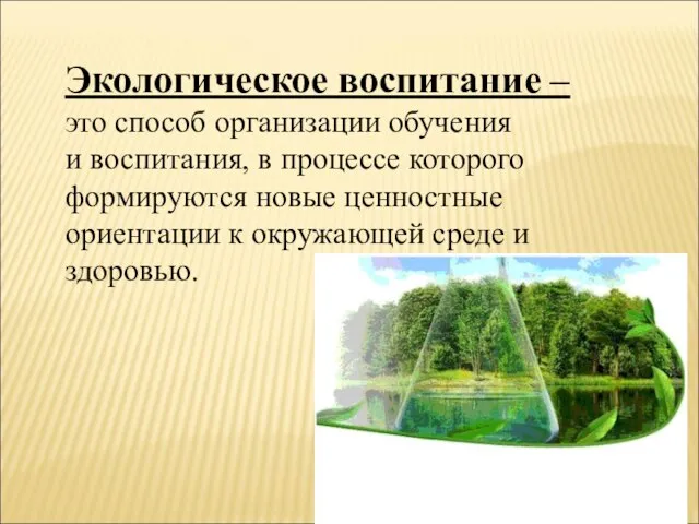 Экологическое воспитание – это способ организации обучения и воспитания, в процессе которого