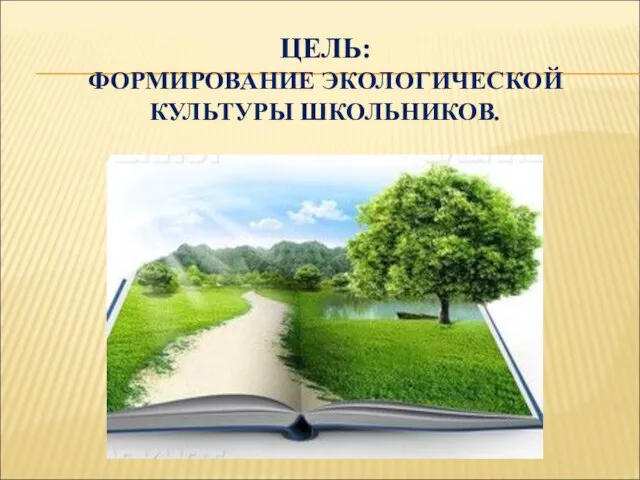 ЦЕЛЬ: ФОРМИРОВАНИЕ ЭКОЛОГИЧЕСКОЙ КУЛЬТУРЫ ШКОЛЬНИКОВ.