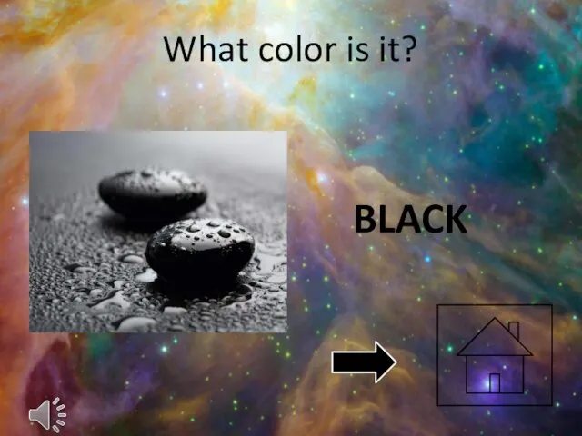 What color is it? BLACK