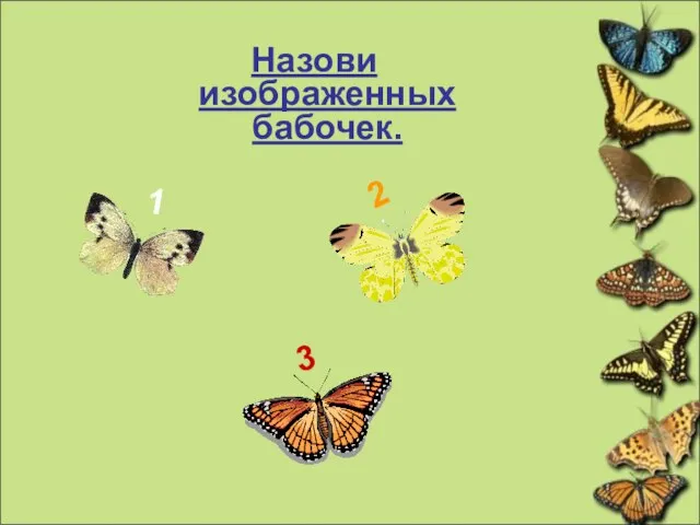 Назови изображенных бабочек. Назови изображенных бабочек. 1 2 3