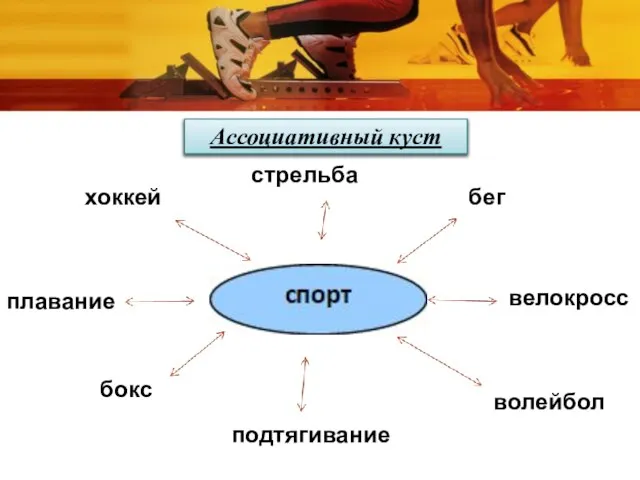 Ассоциативный куст плавание хоккей стрельба бег велокросс волейбол подтягивание бокс