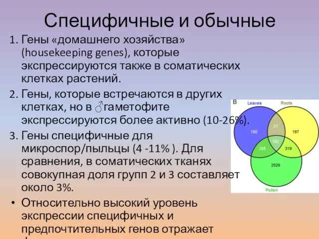 Специфичные и обычные 1. Гены «домашнего хозяйства»(housekeeping genes), которые экспрессируются также в