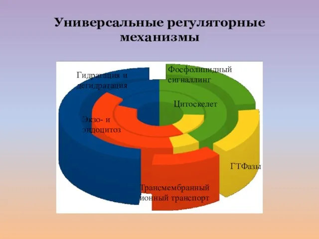 Фосфолипидный сигналлинг Гидратация и дегидратация Цитоскелет Экзо- и эндоцитоз ГТФазы Трансмембранный ионный транспорт Универсальные регуляторные механизмы